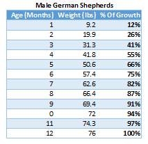 German Shepherd Dog Weight Chart