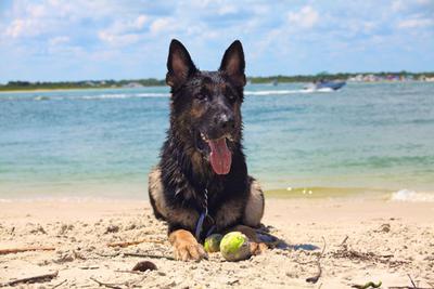 Having a great time at the beach