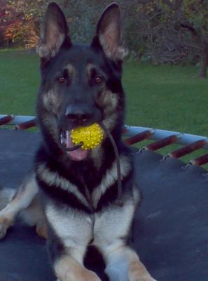 Just look at that grin!