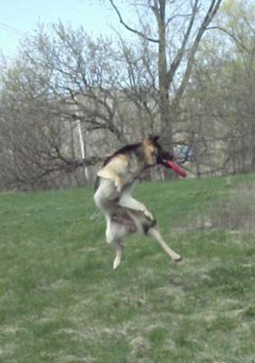 what a catch