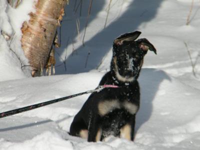 Chloe loves snow