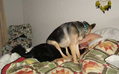 Klaus on the bed on the Bernie