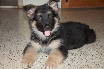 2 and a half months old