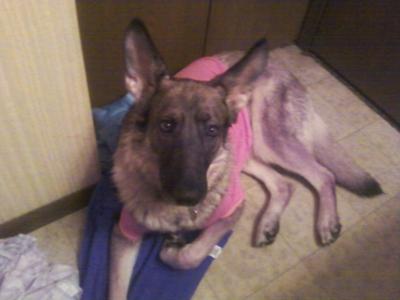 Cheyenne in her pink shirt.