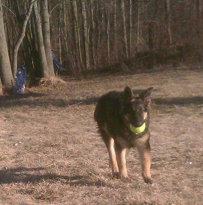 Playin ball with Momma!