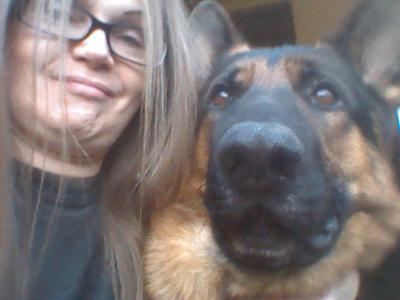 My German Shepherd Sabre