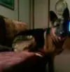 A Cell Phone Picture Of Sabien