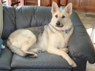 My Beautiful Bear