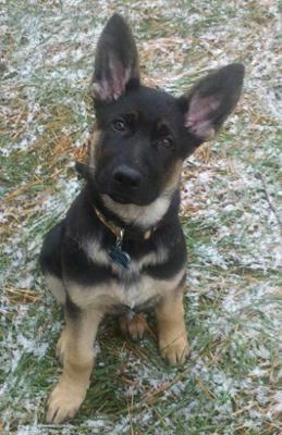 What's my name again?