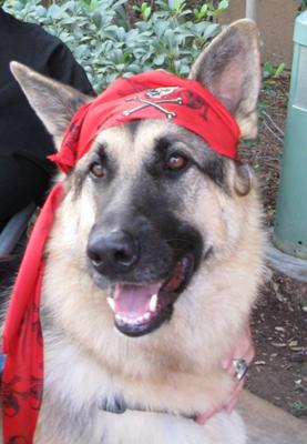 Phoebe walks all over Disneyland as well.